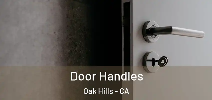  Door Handles Oak Hills - CA