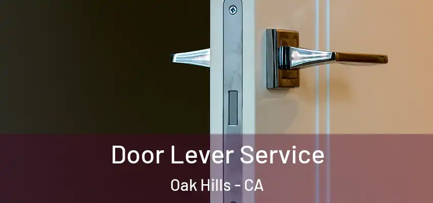  Door Lever Service Oak Hills - CA