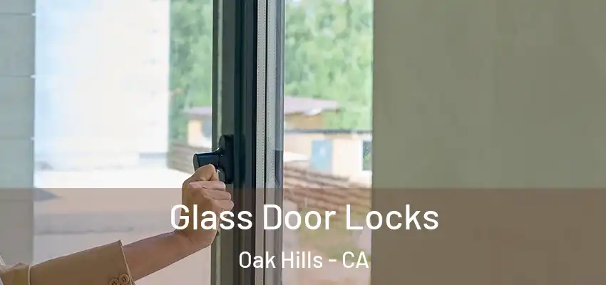  Glass Door Locks Oak Hills - CA