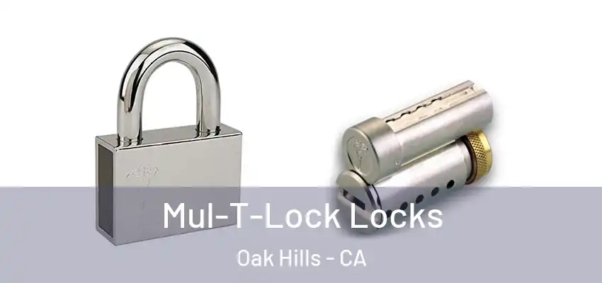  Mul-T-Lock Locks Oak Hills - CA